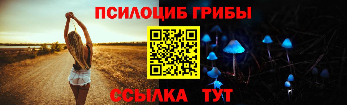 Галлюциногенные грибы прущие грибы  Вход с VPN  Уссурийск 